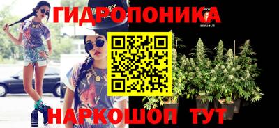 амф Лесосибирск