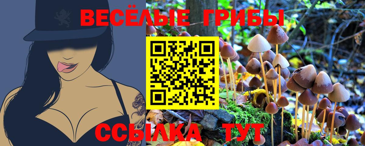 Псилоцибиновые грибы GOLDEN TEACHER  Вход с VPN  Волгодонск 
